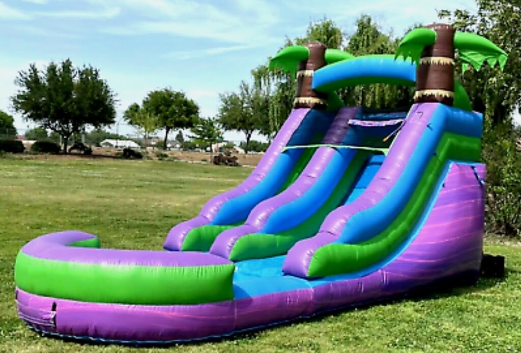 Palm tree water slide